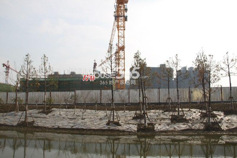 龙湖名景台17号楼施工实景图 （2014.2.11摄）