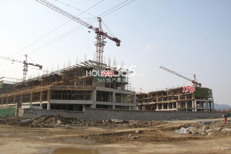 龙湖名景台19、18号楼施工实景图（2014.2.11摄）