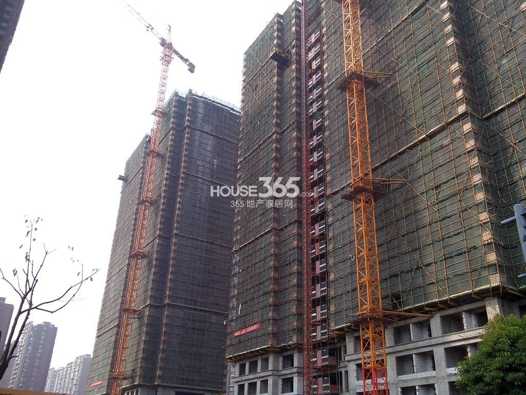 九龙仓碧玺14年02月高层实景4