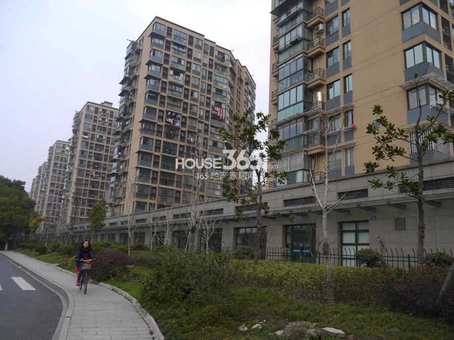 滨江金色黎明周边小区——草庄景墅小区 2013年3月5日摄 