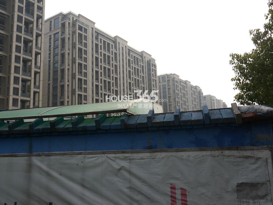滨江金色黎明实景图 2013年3月5日摄 