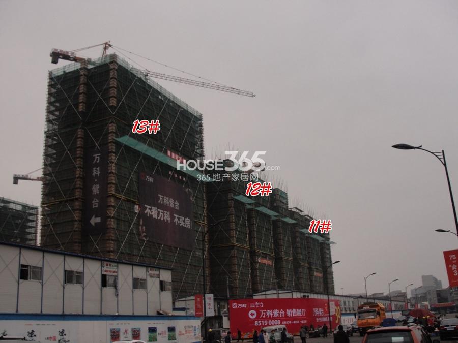 万科紫台11、12、13号楼施工实景图 2014.2.26摄 