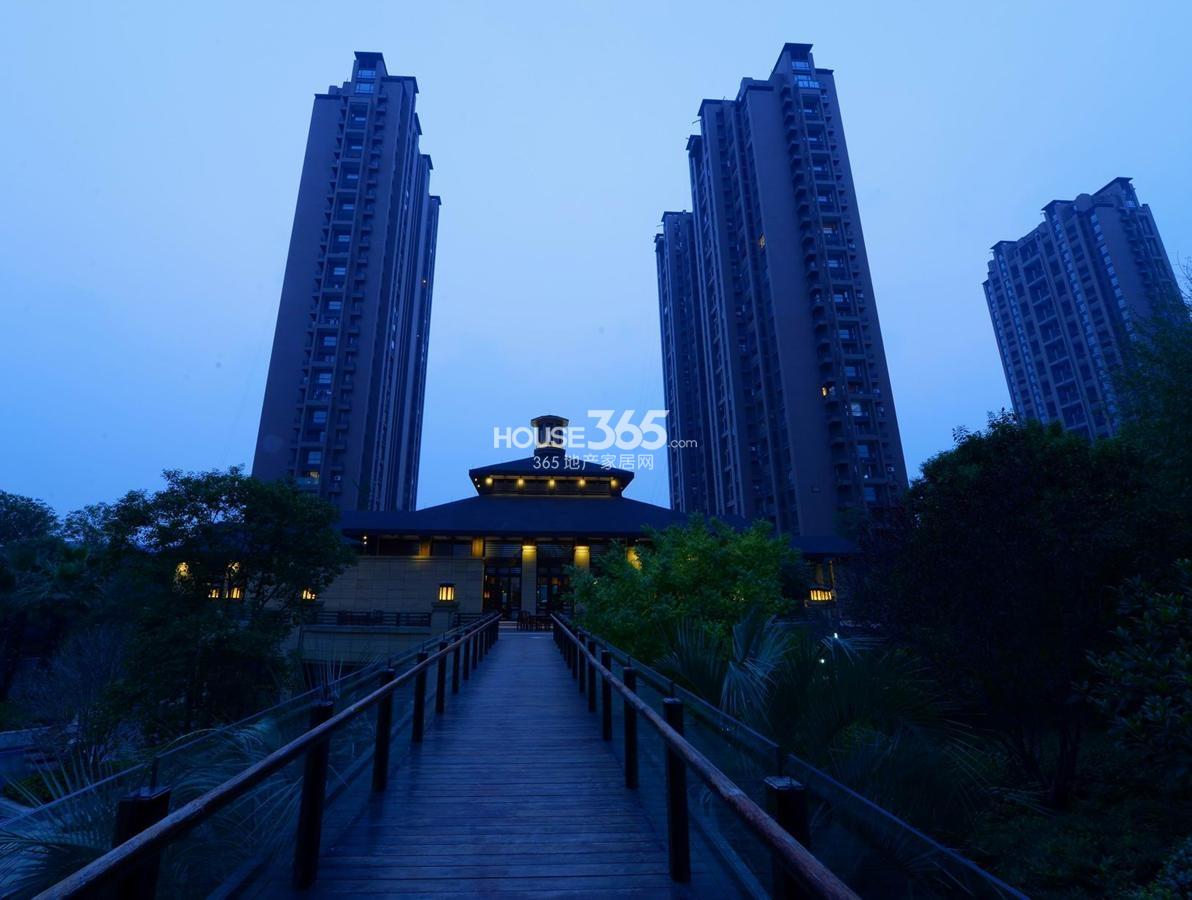 东海金沙T台夜景实景图