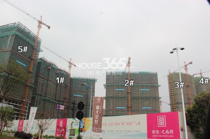2014年7月初世茂之西湖项目实景--1、2、3、4、5号楼