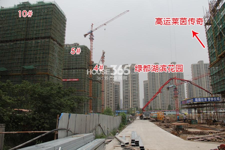 高运莱茵传奇与周边青秀城、绿都湖滨花园的实景图 2014.7摄