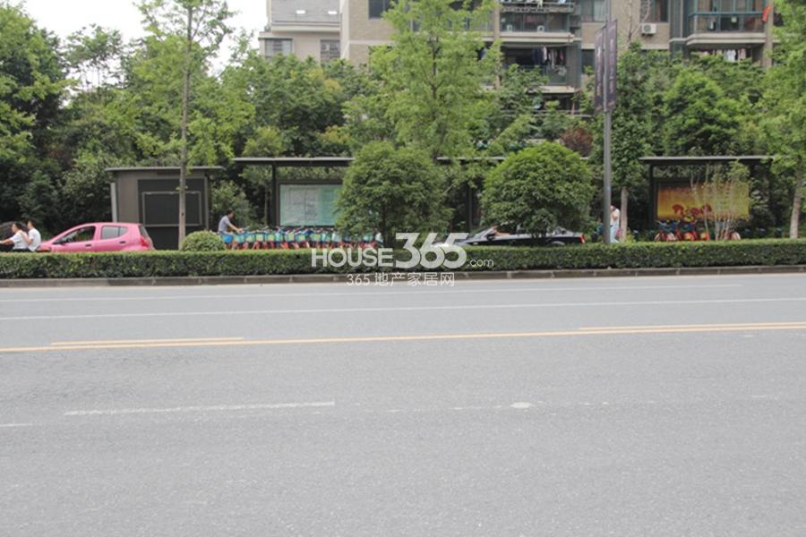 高运莱茵传奇周边配套——建设一路的公共自行租赁点 