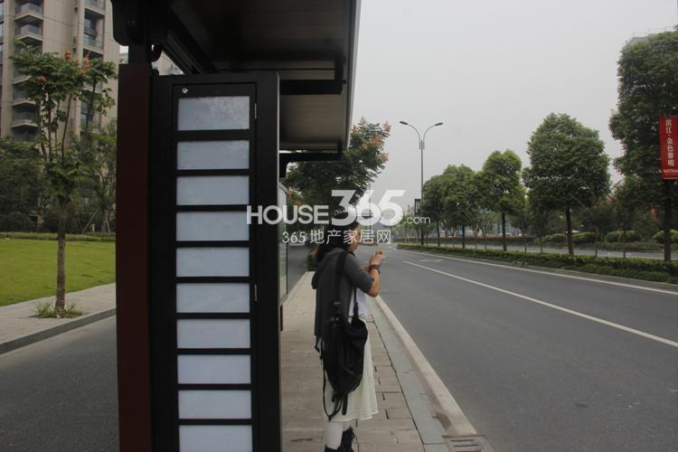 滨江金色黎明周边公交站牌——阮家村站