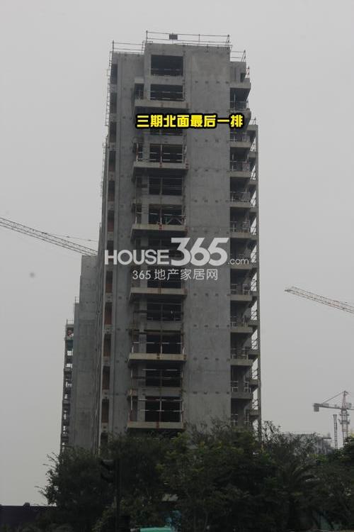 滨江金色黎明三期北面施工实景图 2014年9月摄