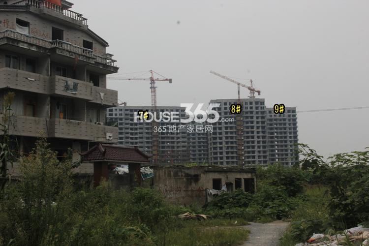 信宇锦润公寓7、8、9号楼施工实景图 2014年9月摄