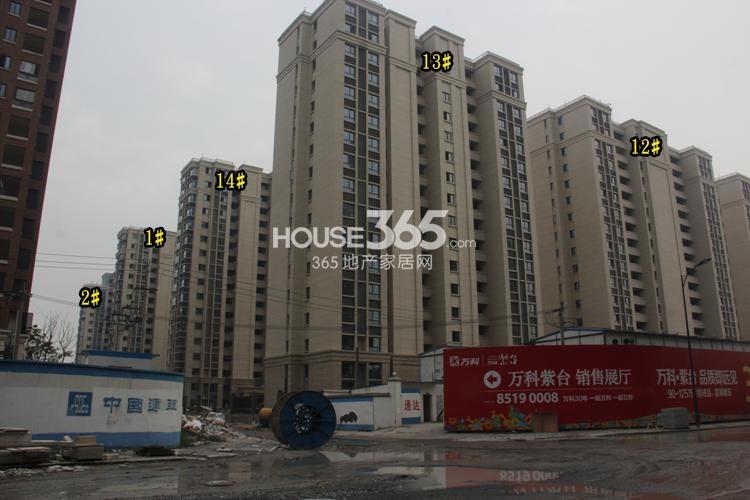 万科紫台1、2、12、13、14号楼实景图 2014年9月摄