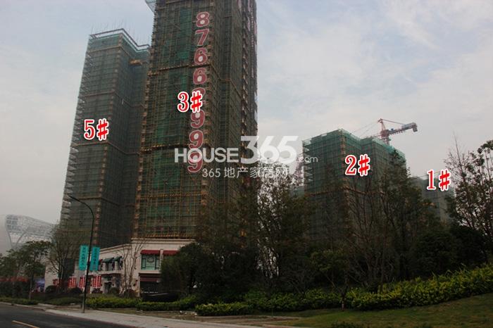 2014年11月莱蒙水榭春天项目实景--1、2、5号楼