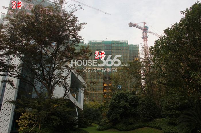 2014年11月莱蒙水榭春天项目实景--2、3号楼