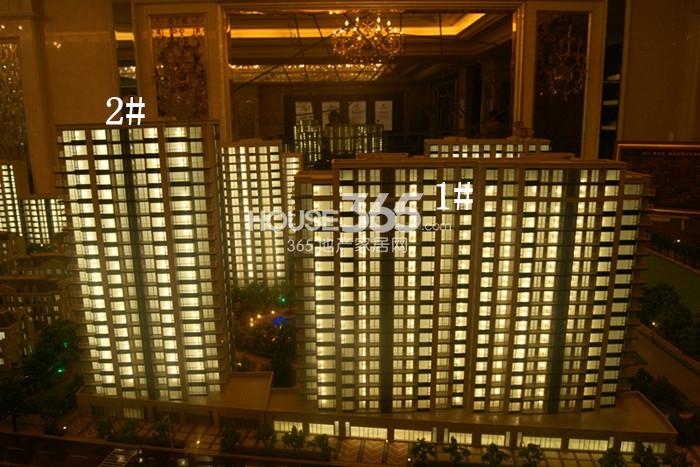 滨江紫金府现场沙盘图
