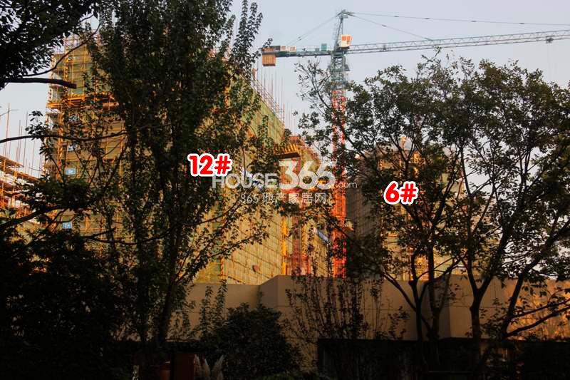 金地格林格林6、12号楼施工进度 (2014年10月摄） 