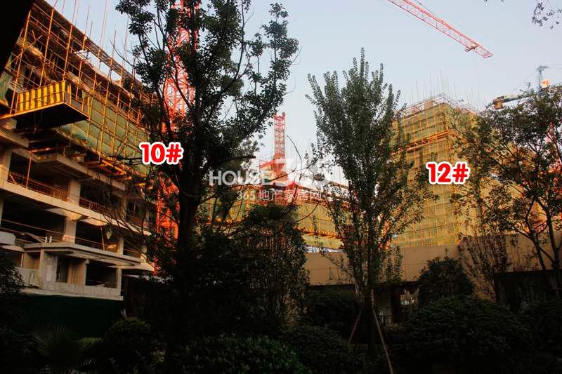 金地格林格林10、12号楼施工进度实景图 (2014年10月摄） 