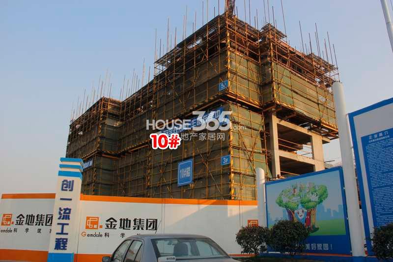 金地格林格林10号楼实景图 (2014年10月摄） 