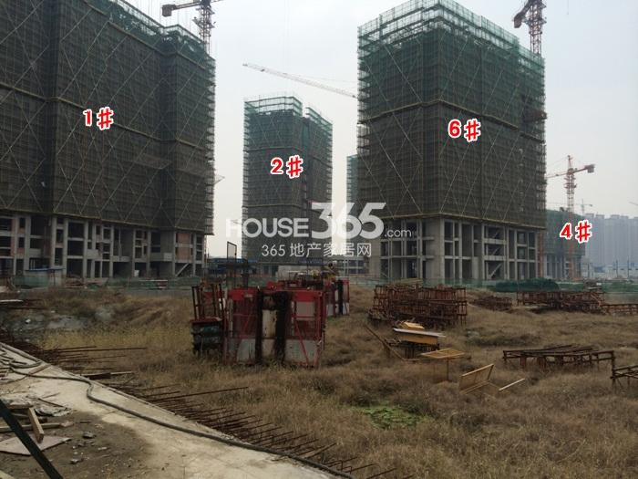 赞成杭家1、2、4、6#楼进度 2014.12