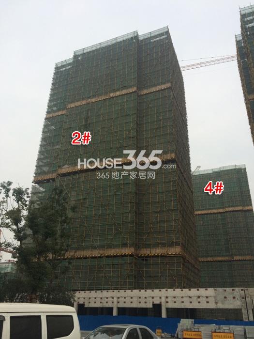 滨江紫金府项目2、4号楼施工进程图（2014.12）