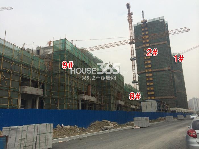 滨江紫金府项目1、2、8、9号楼施工进程图（2014.12）