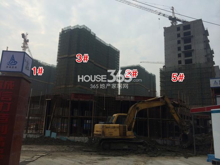 滨江紫金府项目1、2、3、5号楼施工进程图（2014.12）