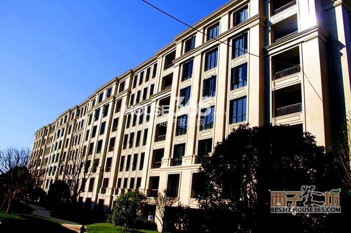 绿城西溪融庄低密度多层实景图 2014.12