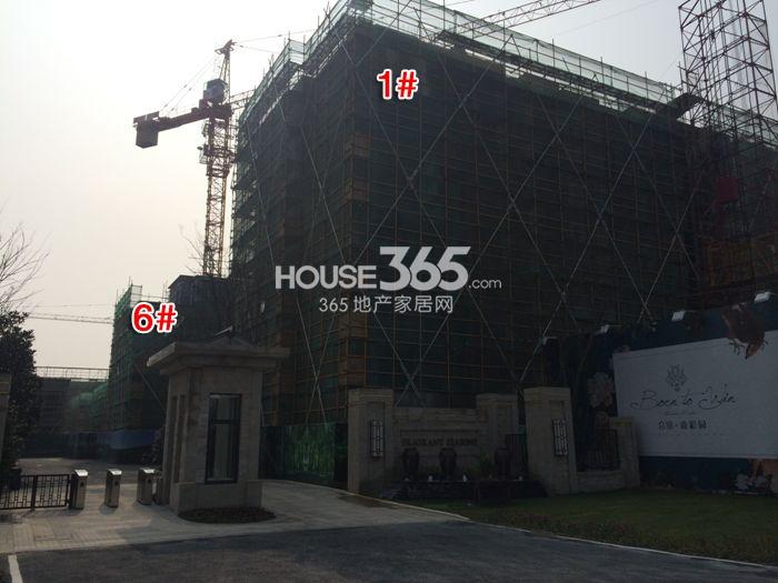 合景叠彩园项目1、6号楼施工进程（2015.1）