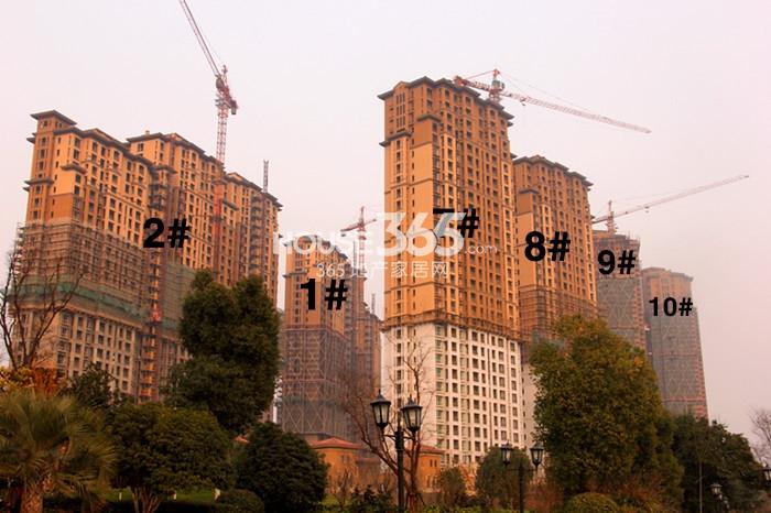 东海闲湖城印象加州组团施工进程图（2015.1）