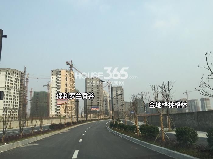 保利罗兰香谷项目南侧实景图 2015年1月摄