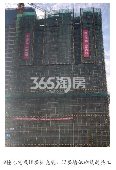 蔚宸悦城工程进展（2019.12）