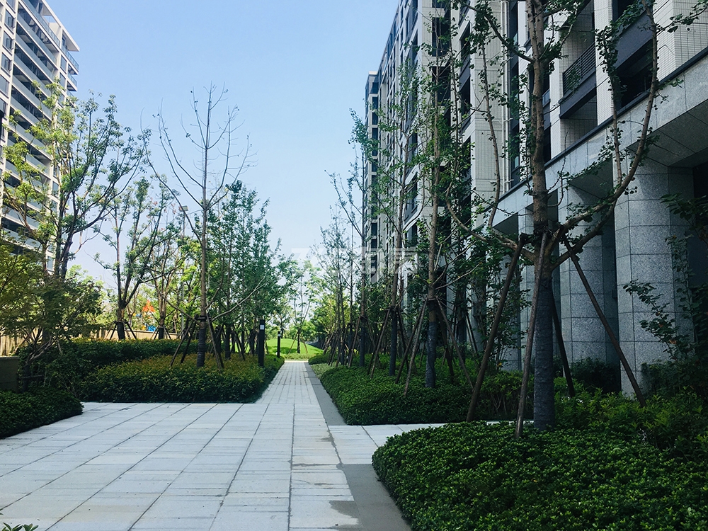 卓越蔚蓝领秀交付实景（2019.8）