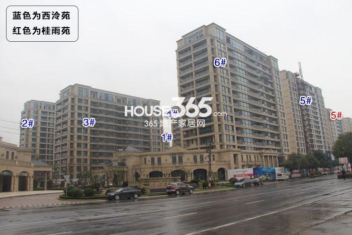 翡翠城西泠苑、桂雨苑施工进程图（2015.3）