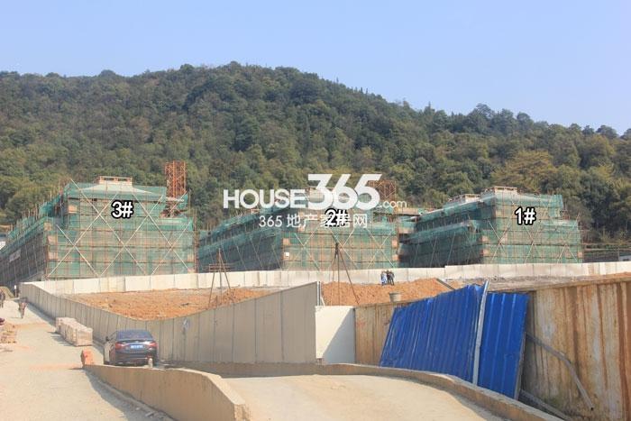 坤和求是里项目1、2、3号楼施工进程图（2015.3）
