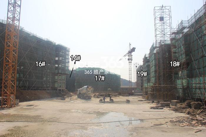 坤和求是里项目14、16—19号楼施工进程图（2015.3）