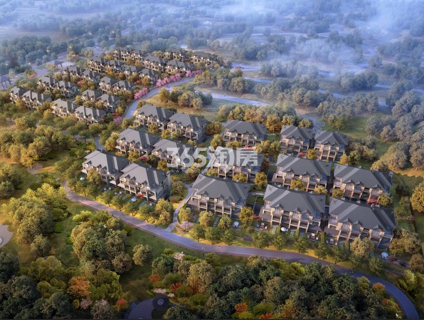 新湖菲林山鸟瞰图