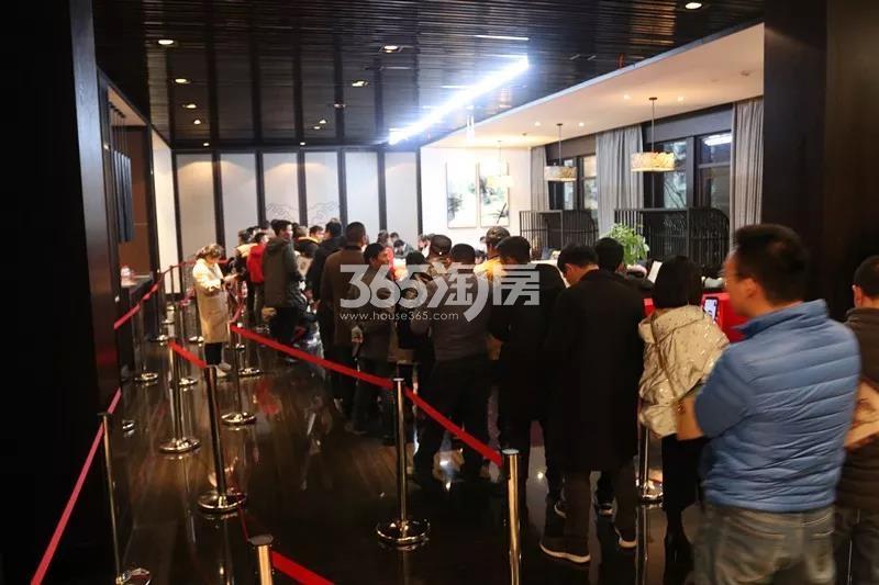 潮闻天下50、52#12月19日开盘现场