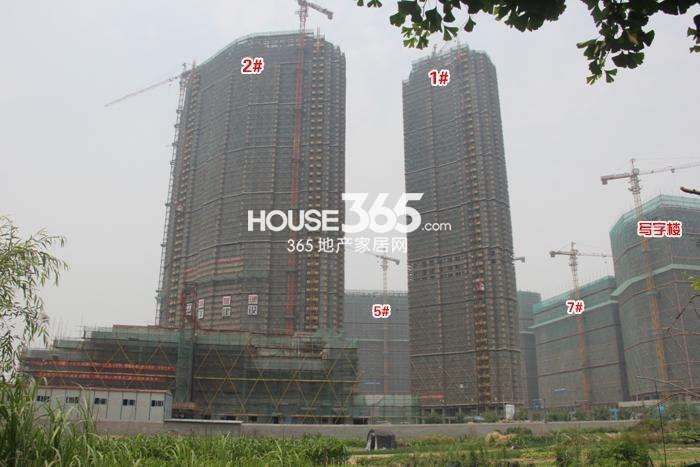 2015年5月绿地旭辉城项目实景--1、2、5、7号楼
