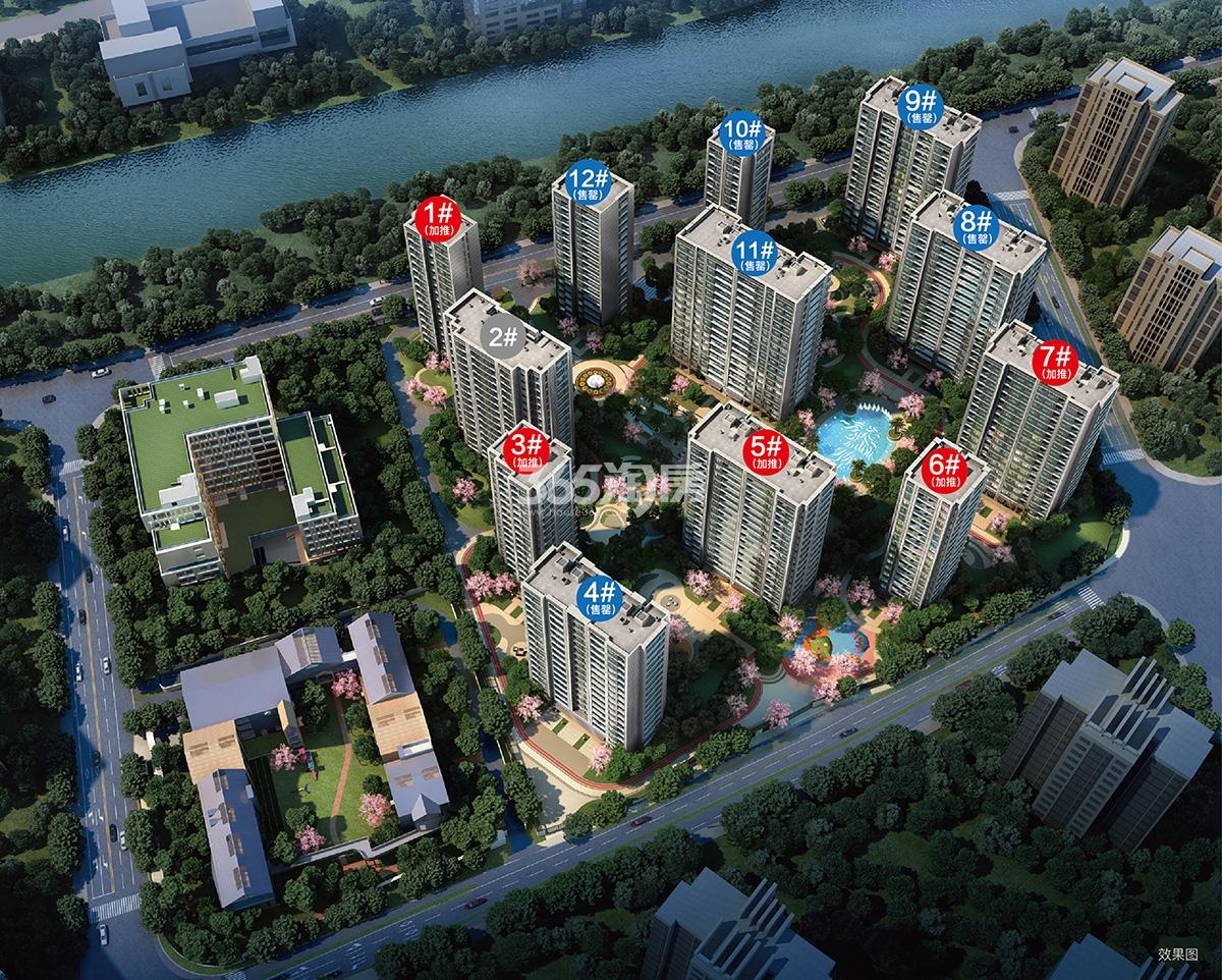 滨江金地御品鸟瞰图