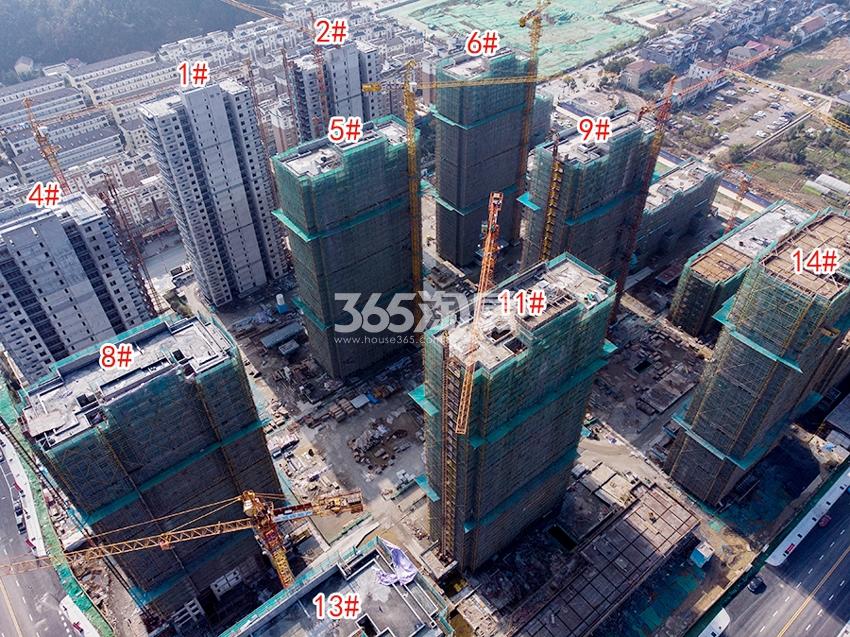 旭辉中粮朗香郡航拍图