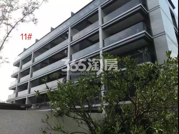 景瑞镜溪绿汀11号楼施工进程（2019.8）
