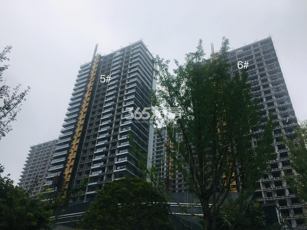 湖山壹品苑实景图