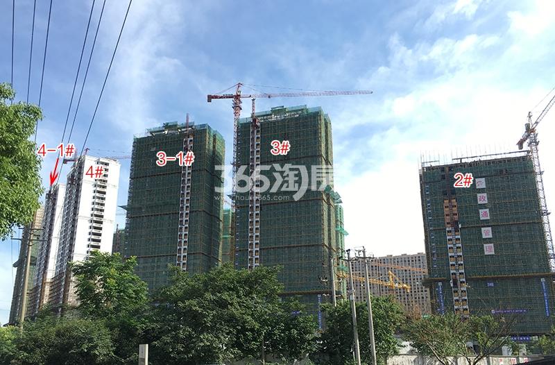 雅居乐国际花园2、3、3-1、4、4-1号楼实景图（2018.6）