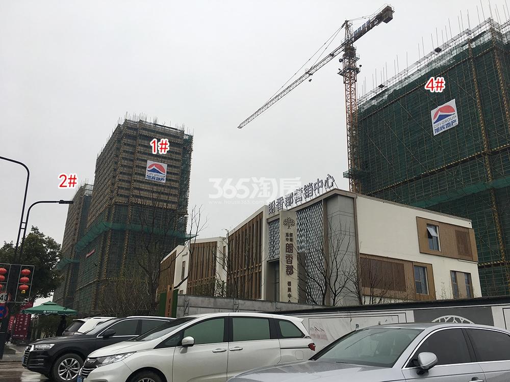 旭辉中粮朗香郡工程进展（2019.02）