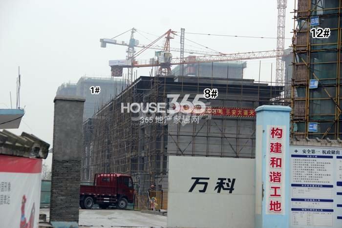 万科西庐二期实景图
