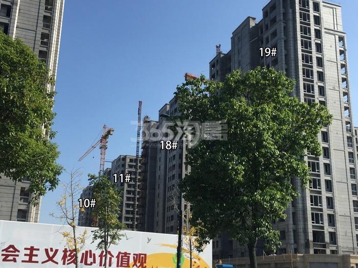 德信大家钱江府10、11、18、19号楼施工进度实景图 2015.11摄
