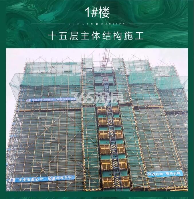 新希望滨江锦粼府1#施工实景图（2019年4月摄）