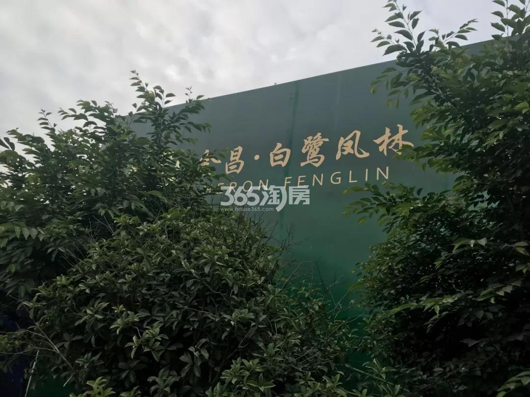 2019年金昌白鹭凤林现场广告牌