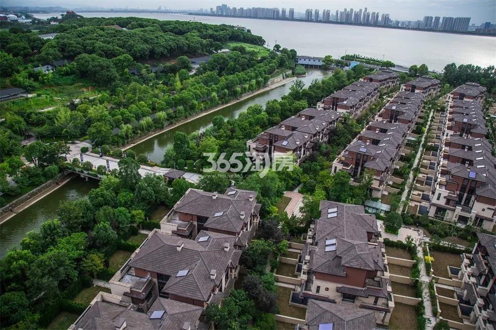 潮闻天下一期排屋实景图