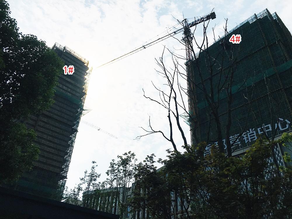 旭辉中粮朗香郡实景（2019.06）