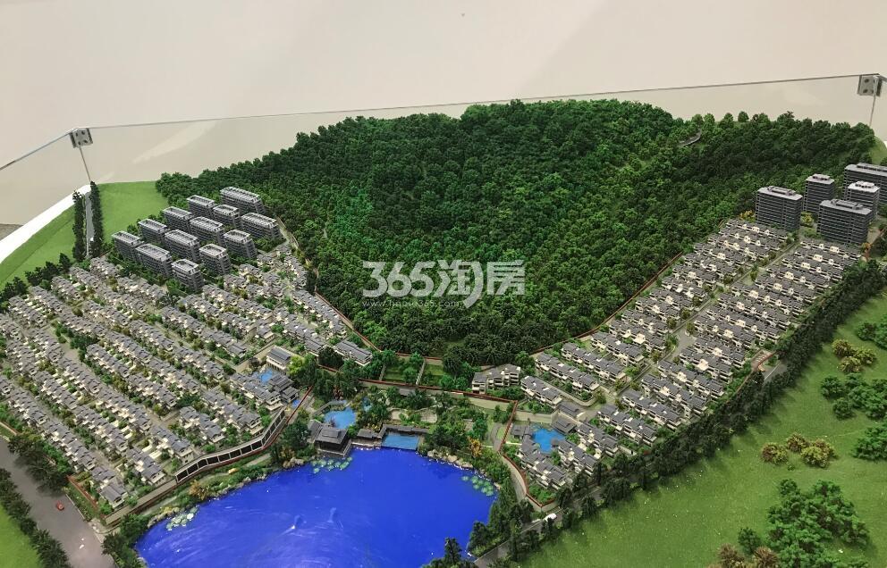 绿城云栖桃花源沙盘图