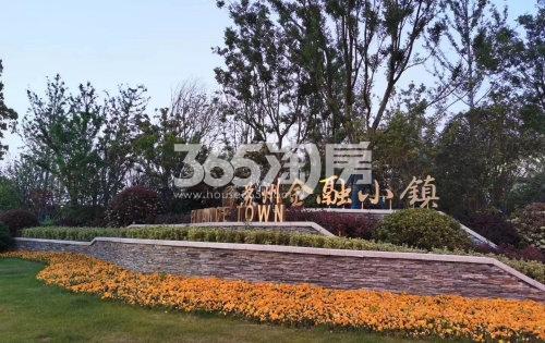 前山澜庭金融小镇花园天地商业街实景图3